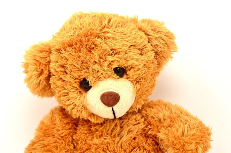 teddy-2989139_1920